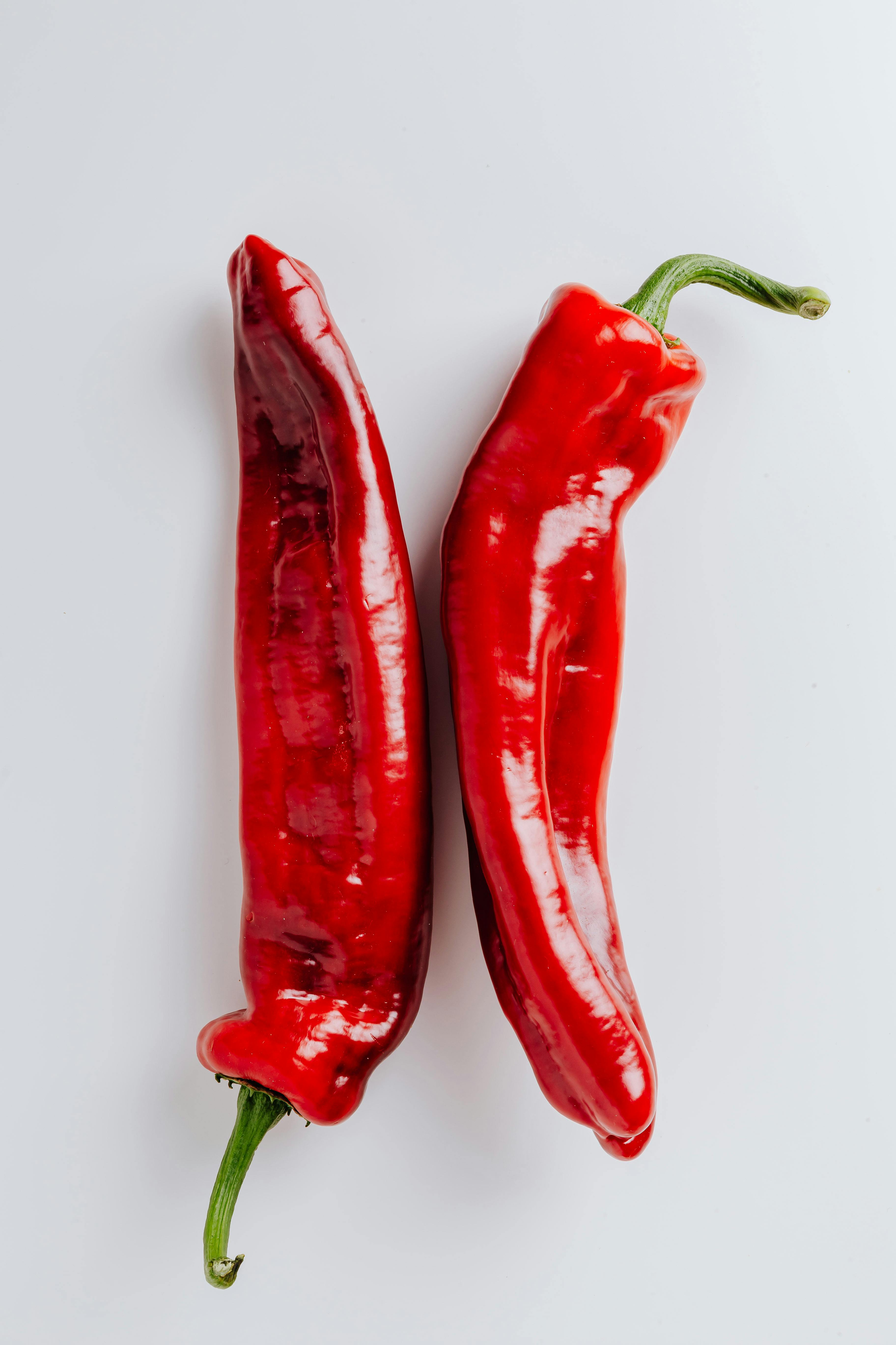 Effective Ways to Use a Dog Bland Diet for 2025 Health