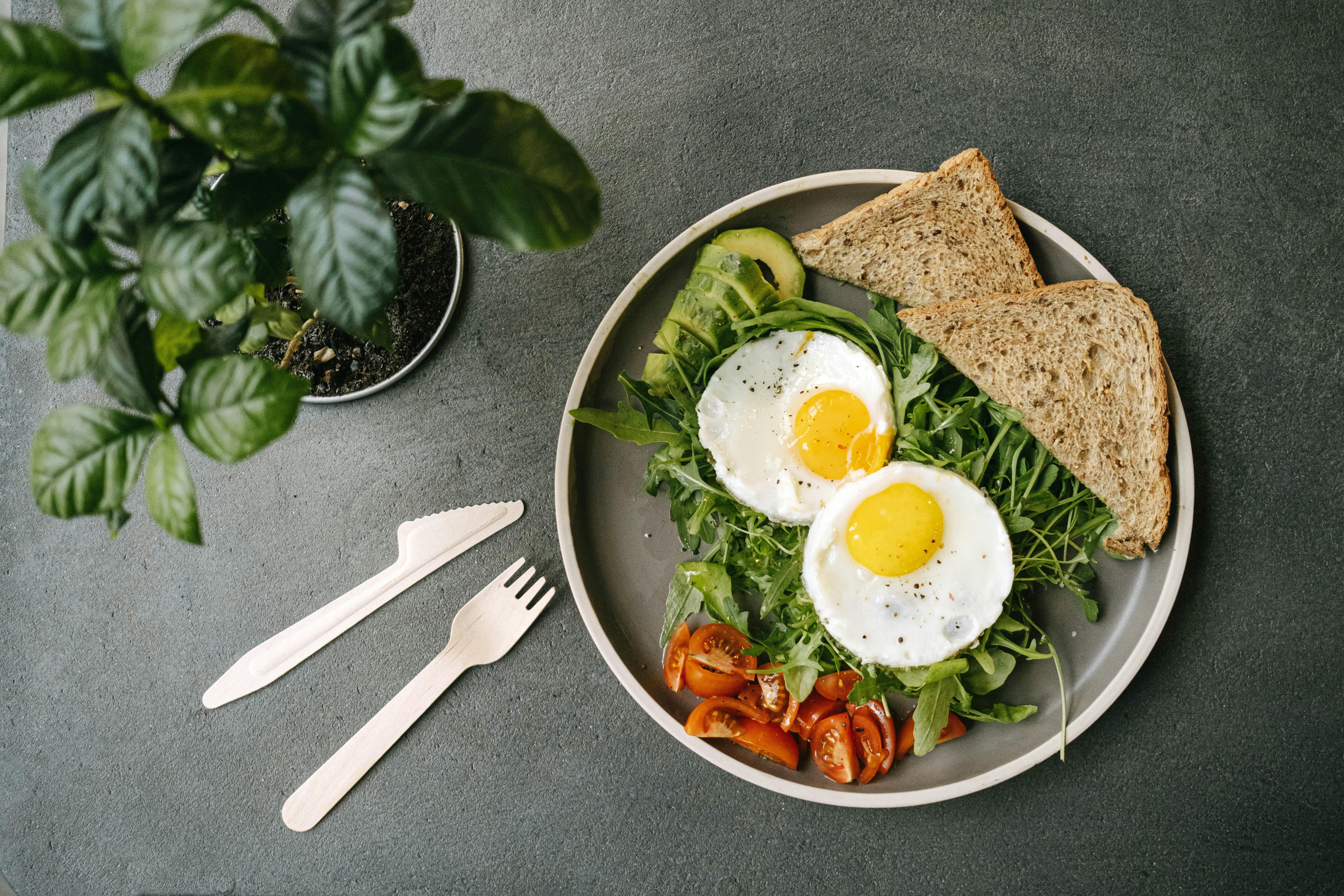 Effective Ways to Optimize Your German Shepherd Diet in 2025