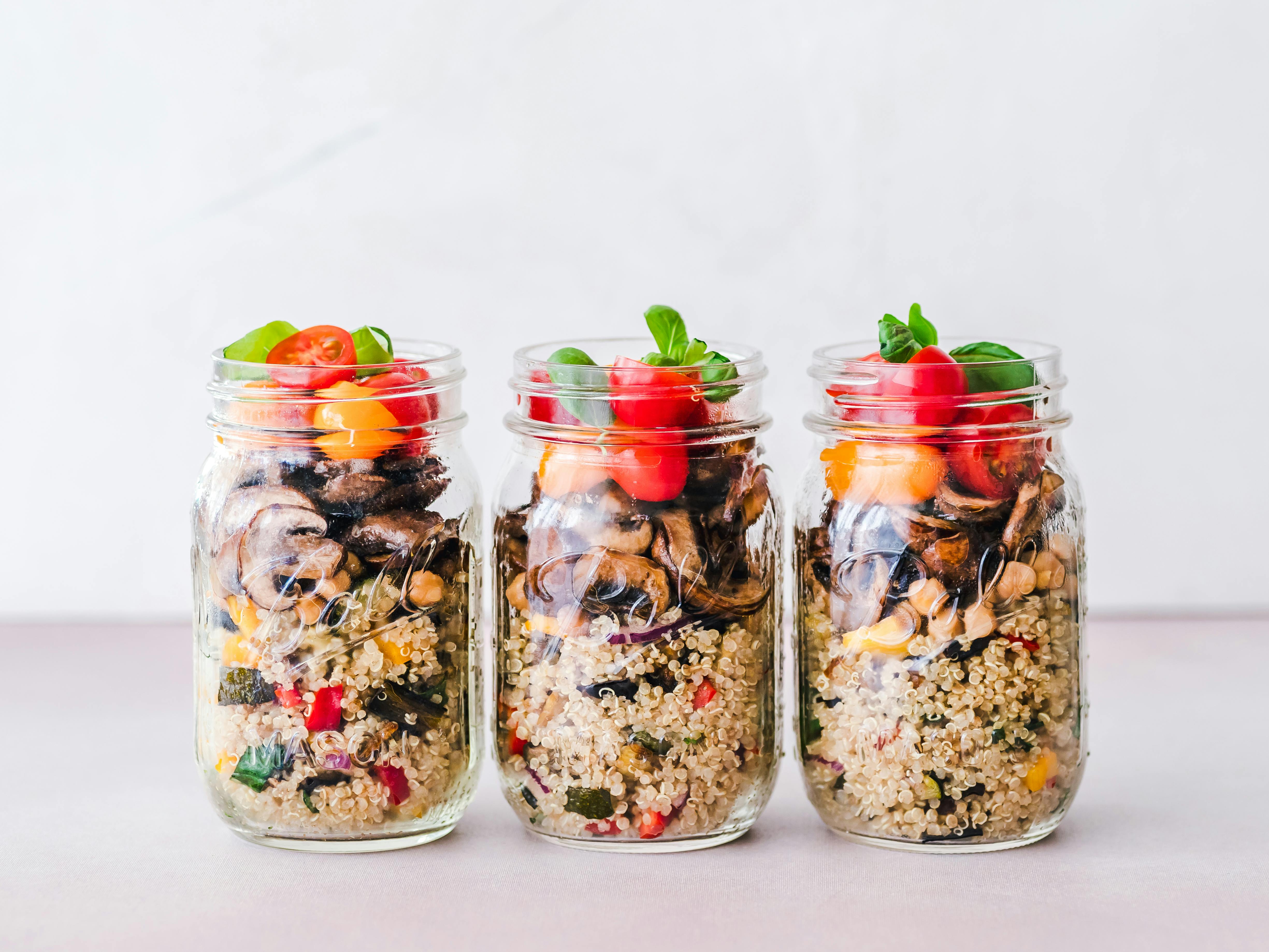 Garter Snake Diet