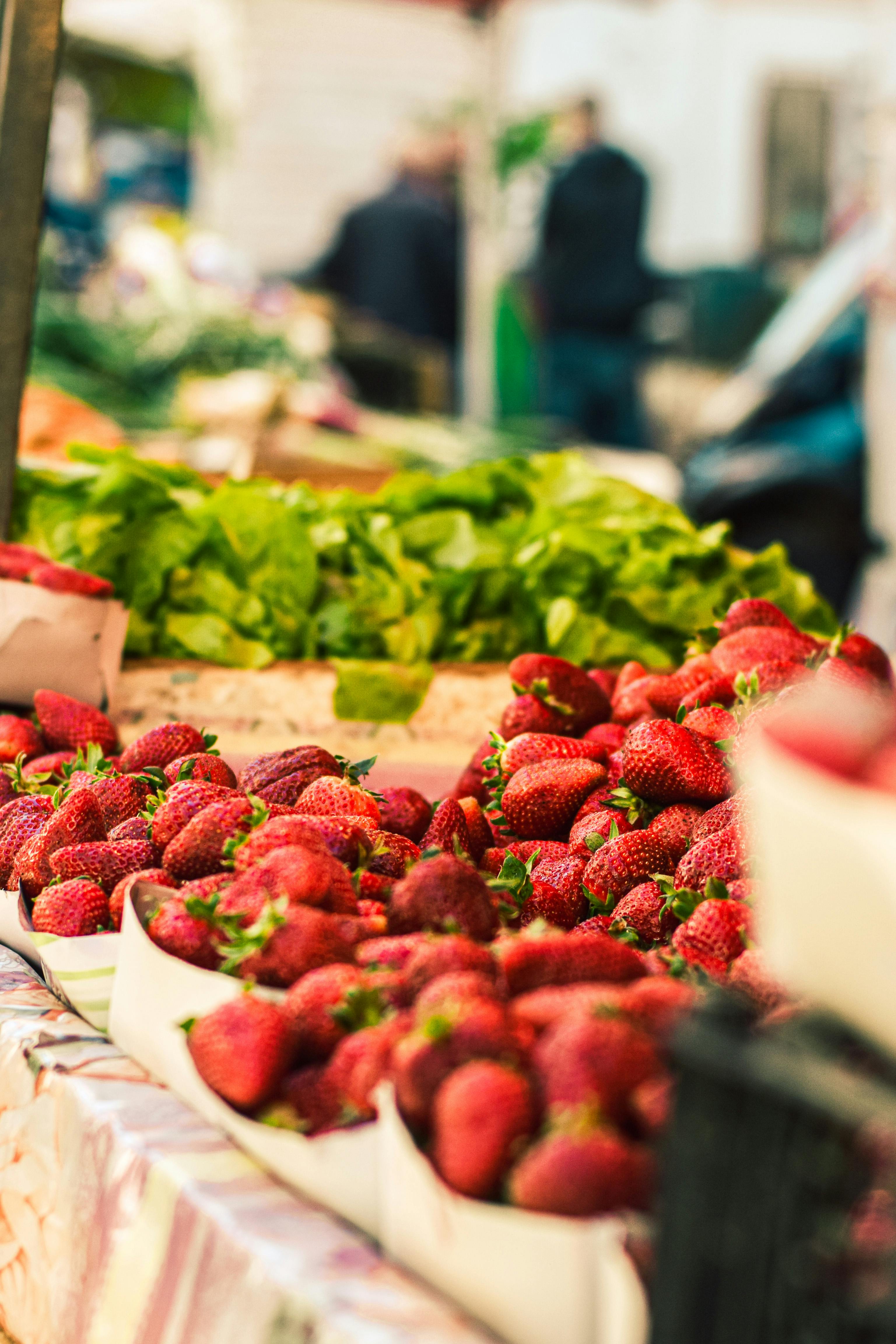 Smart Ways to Navigate the MS Diet for Better Health in 2025