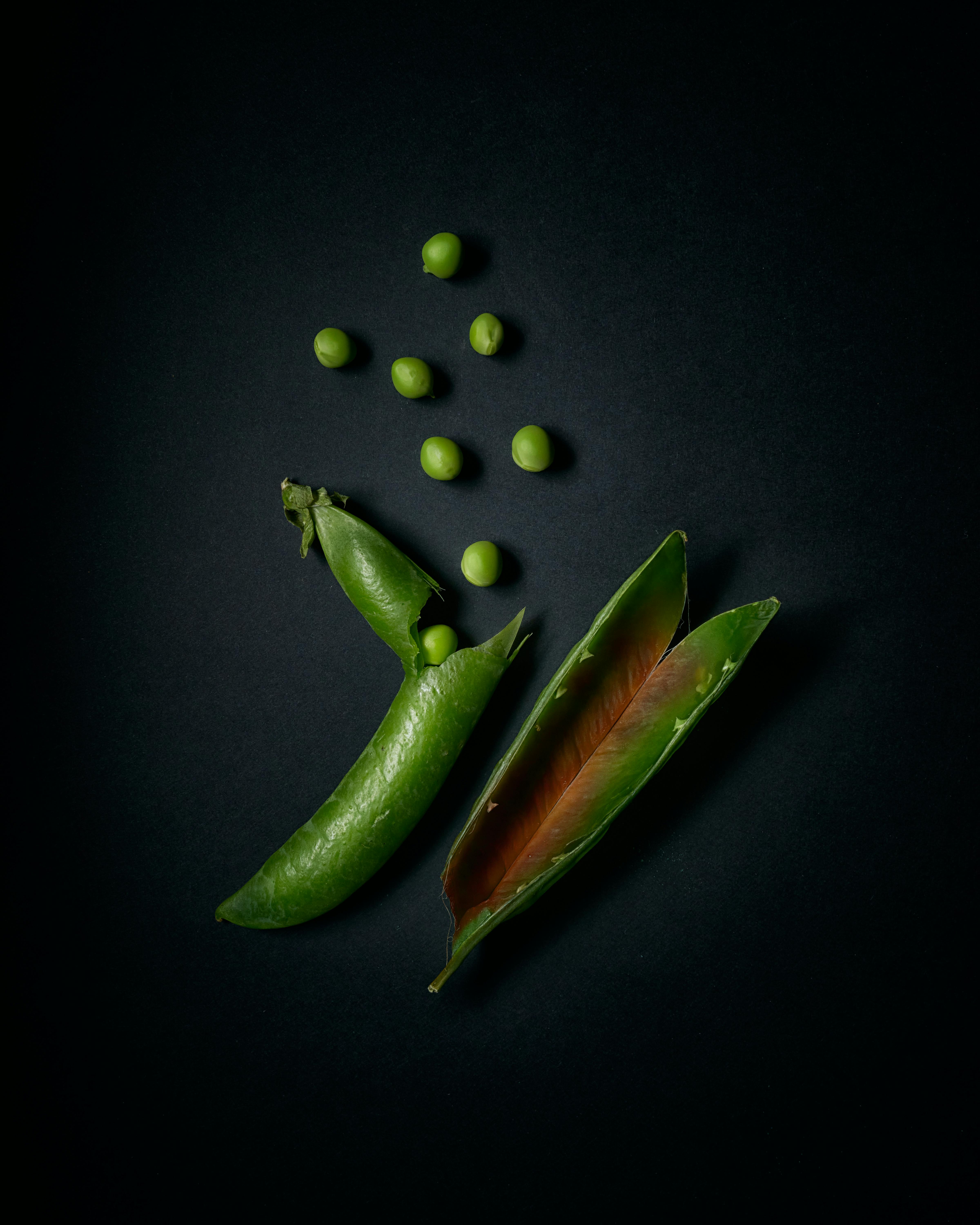 Best 5 Practical Carnivore Diet Snacks to Explore in 2025