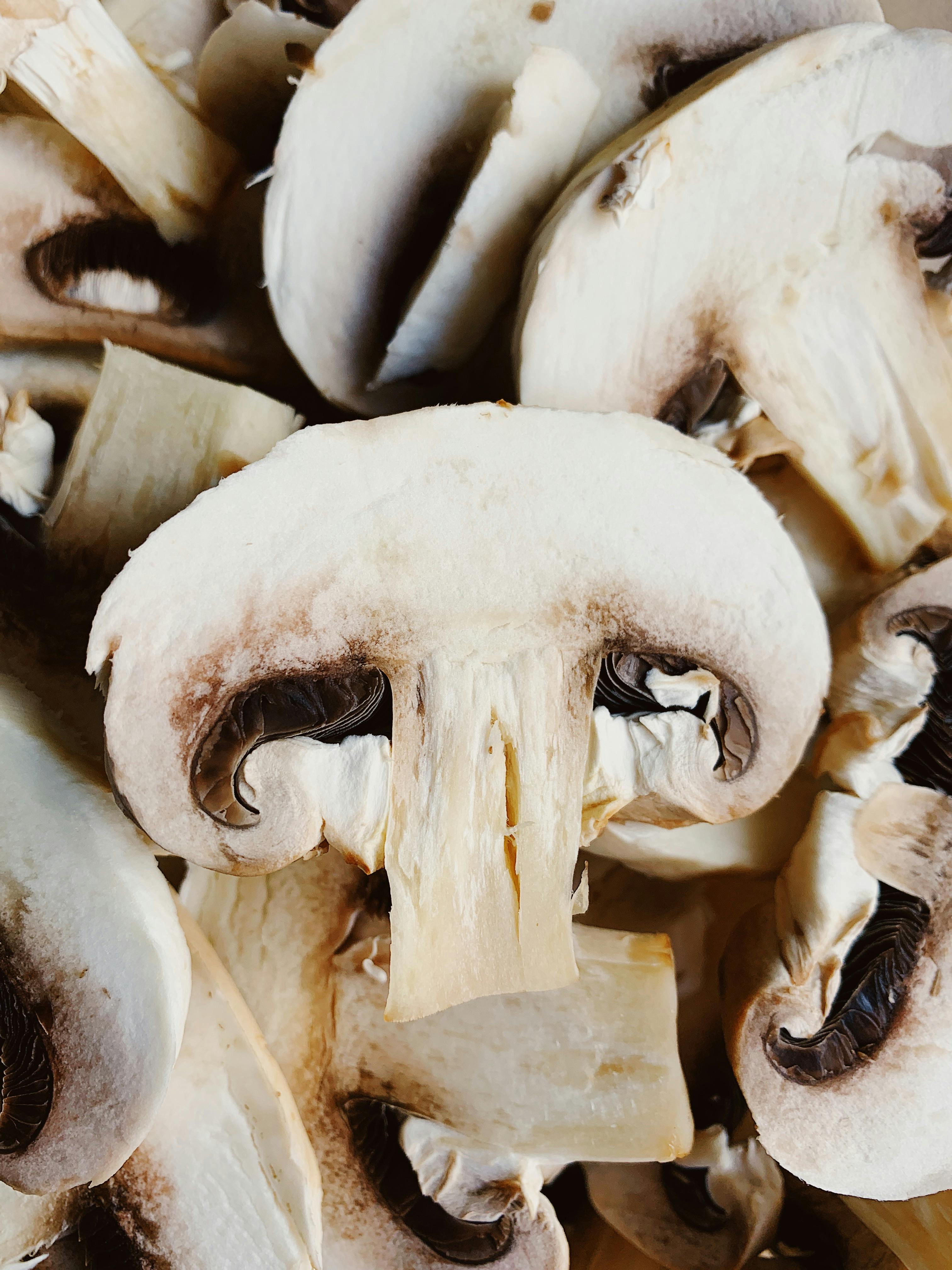 Best 5 Ways to Enhance Your Carnivore Diet with Cheese in 2025