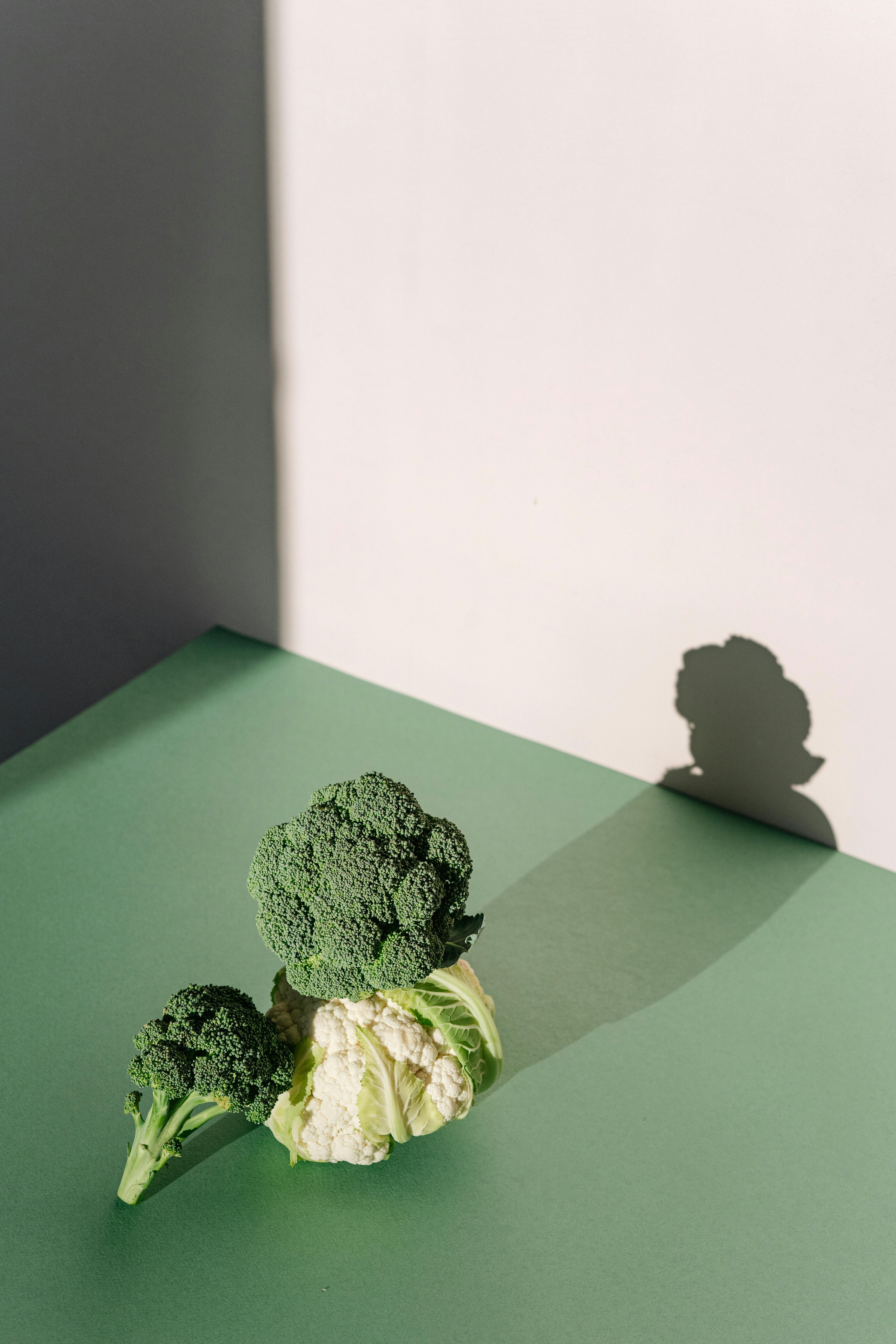 Smart Ways to Select Full Liquid Diet Foods for Optimal 2025 Results
