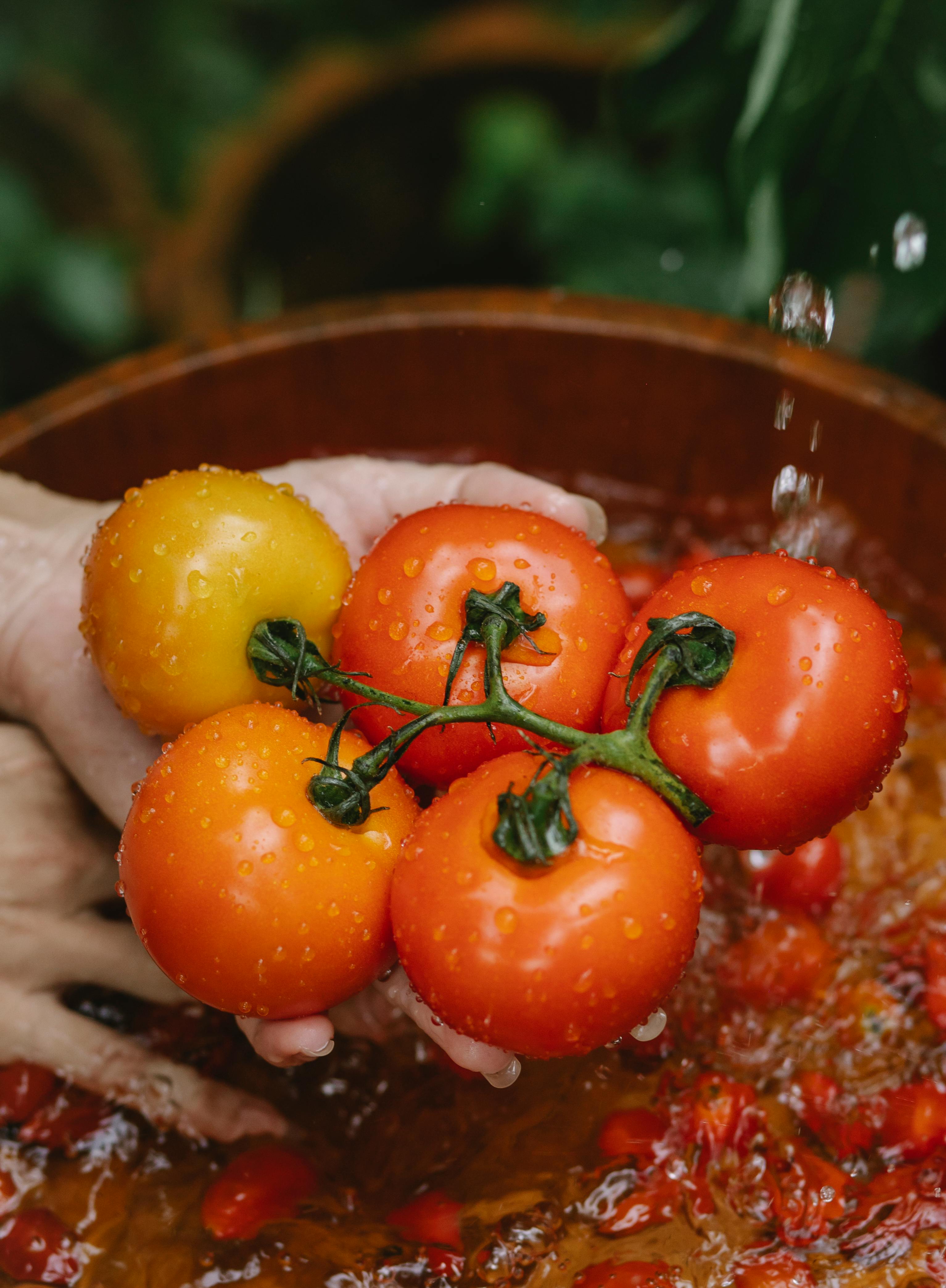 5 Practical Ways to Succeed on the Carnivore Diet in 2025