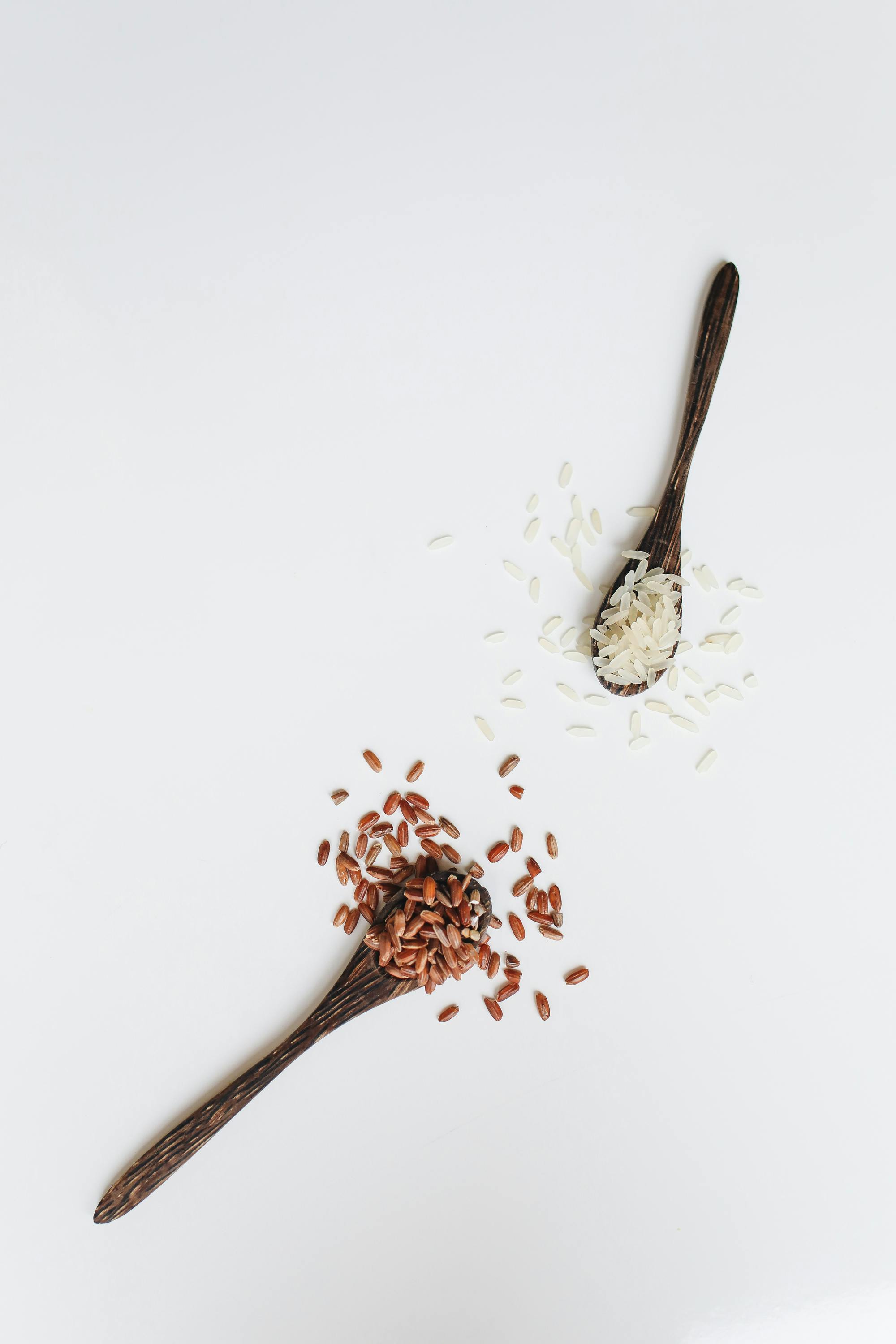 Make Informed Decisions: Best 7 Hills Prescription Diet Dog Food Options in 2025
