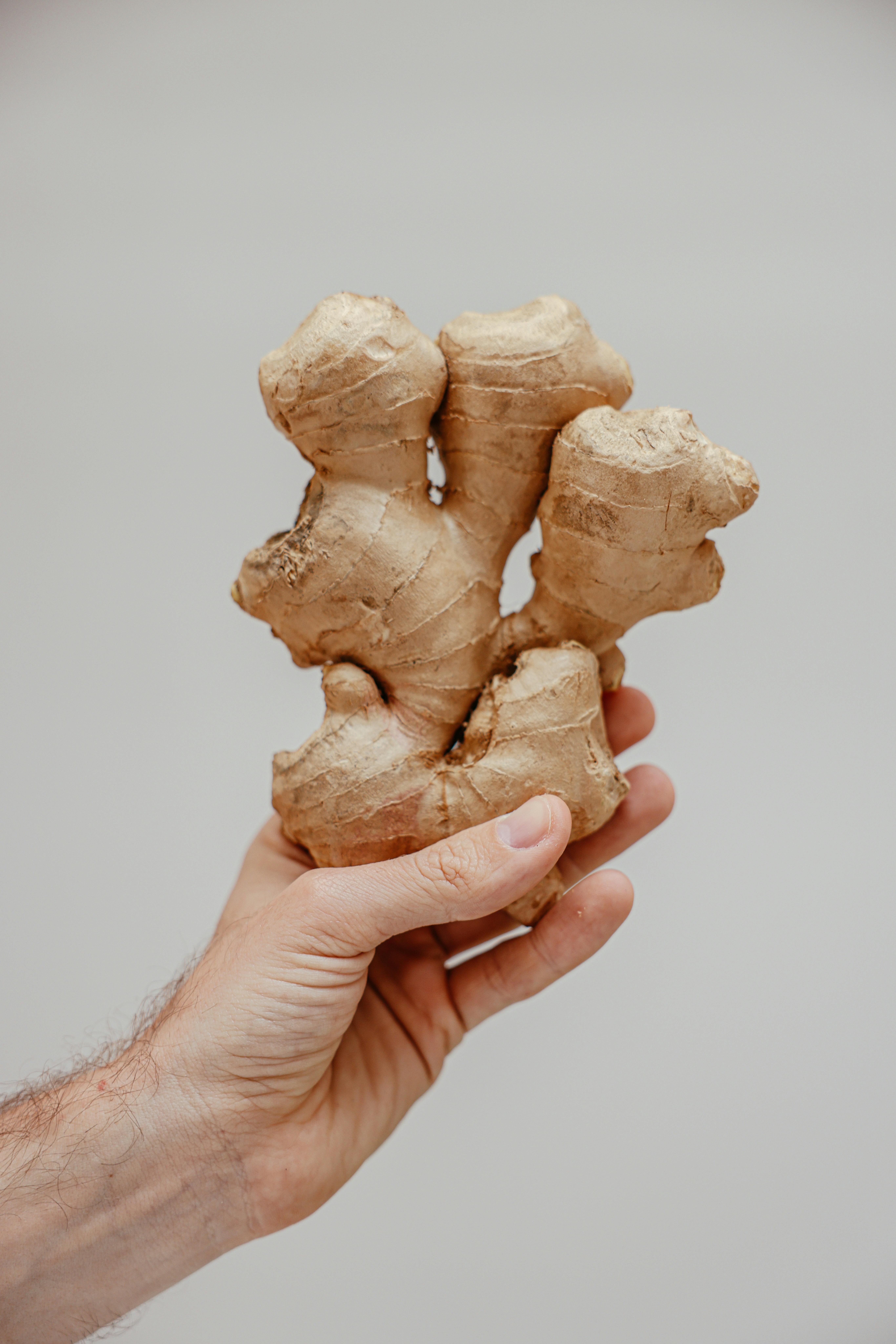 Effective Ways to Optimize Your Dr. Now Diet Plan in 2025