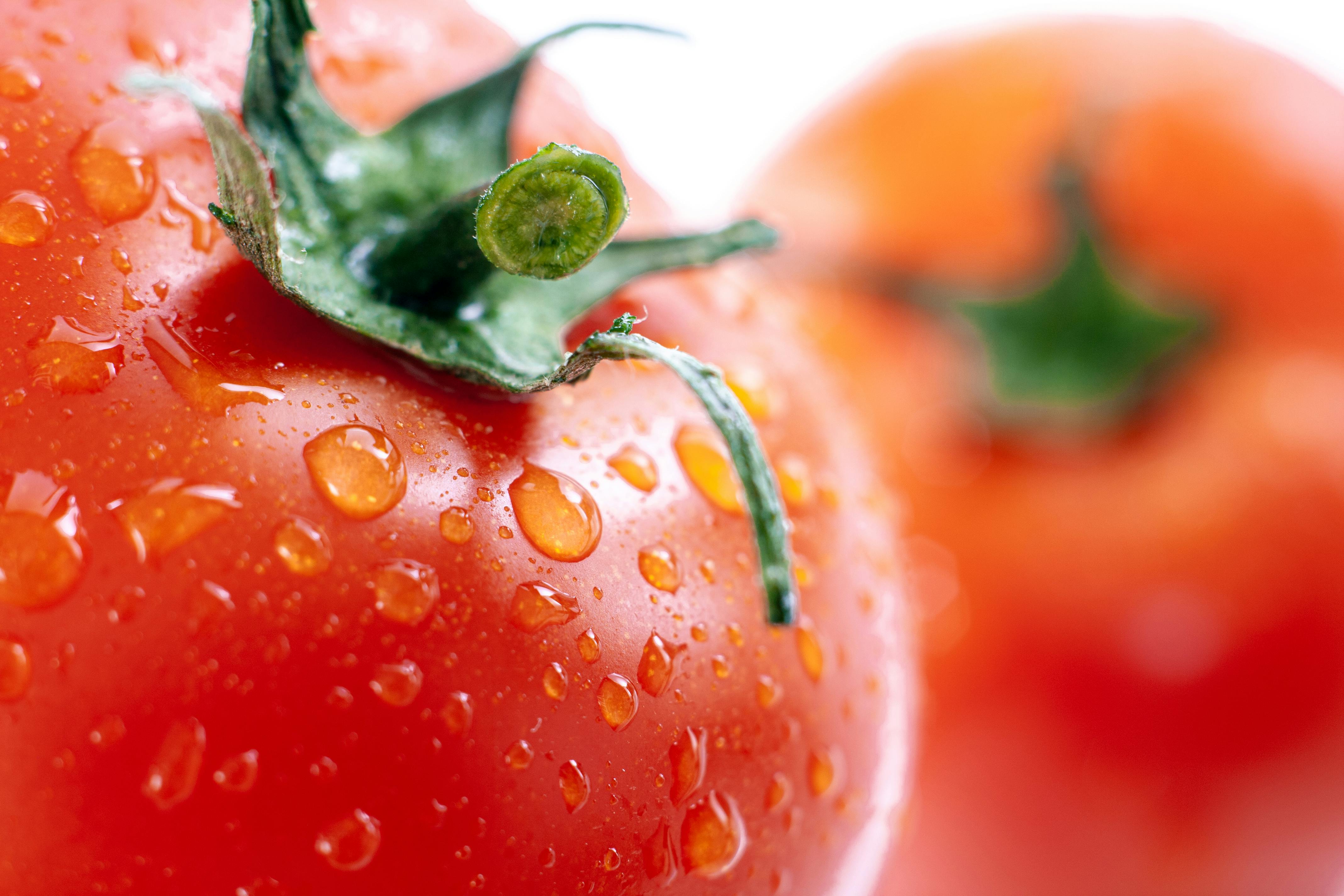Smart Ways to Embrace the Ketovore Diet in 2025 for Improved Wellness