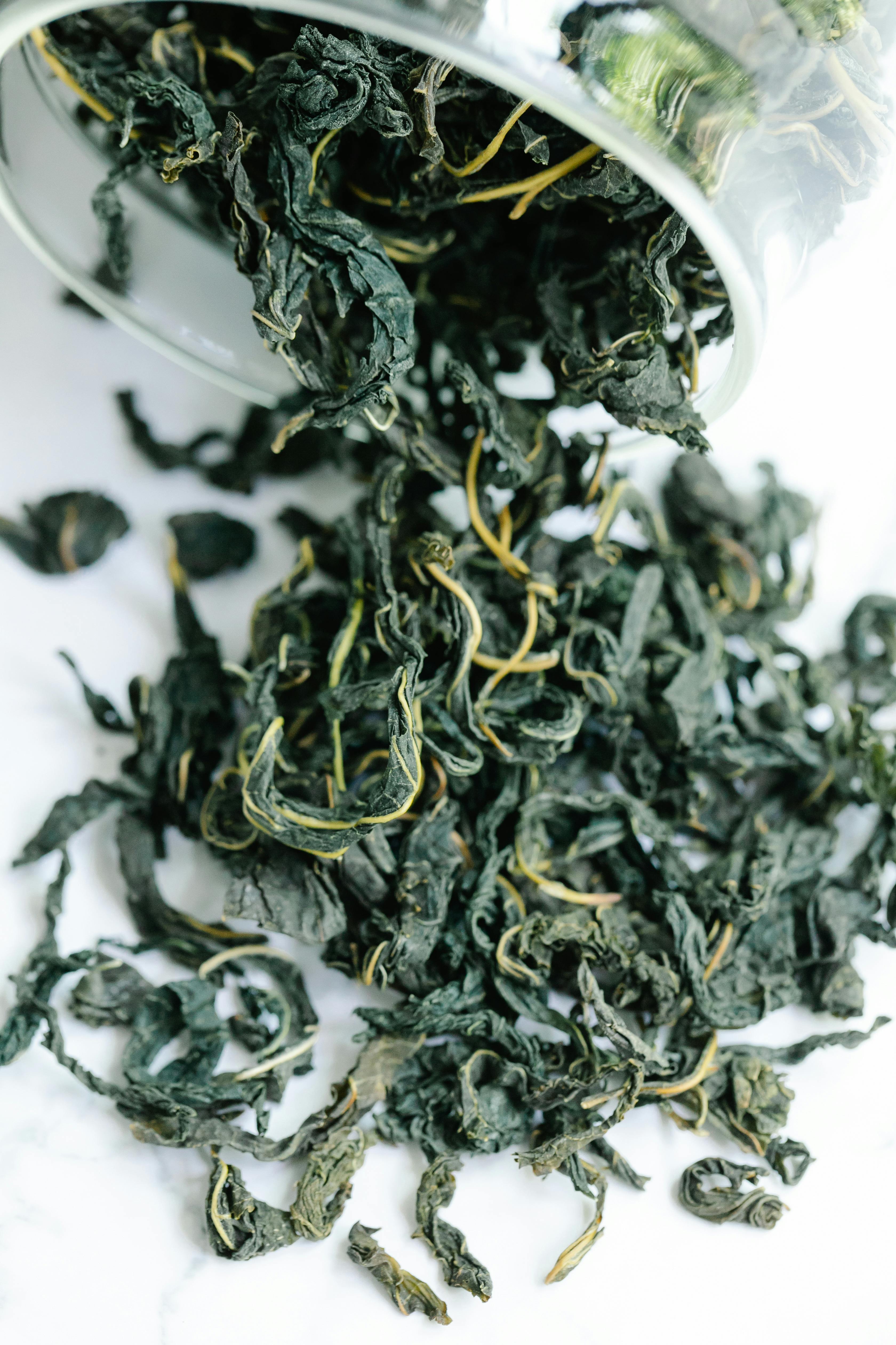 Best 5 Diet Smoke Options for Improved Wellness in 2025