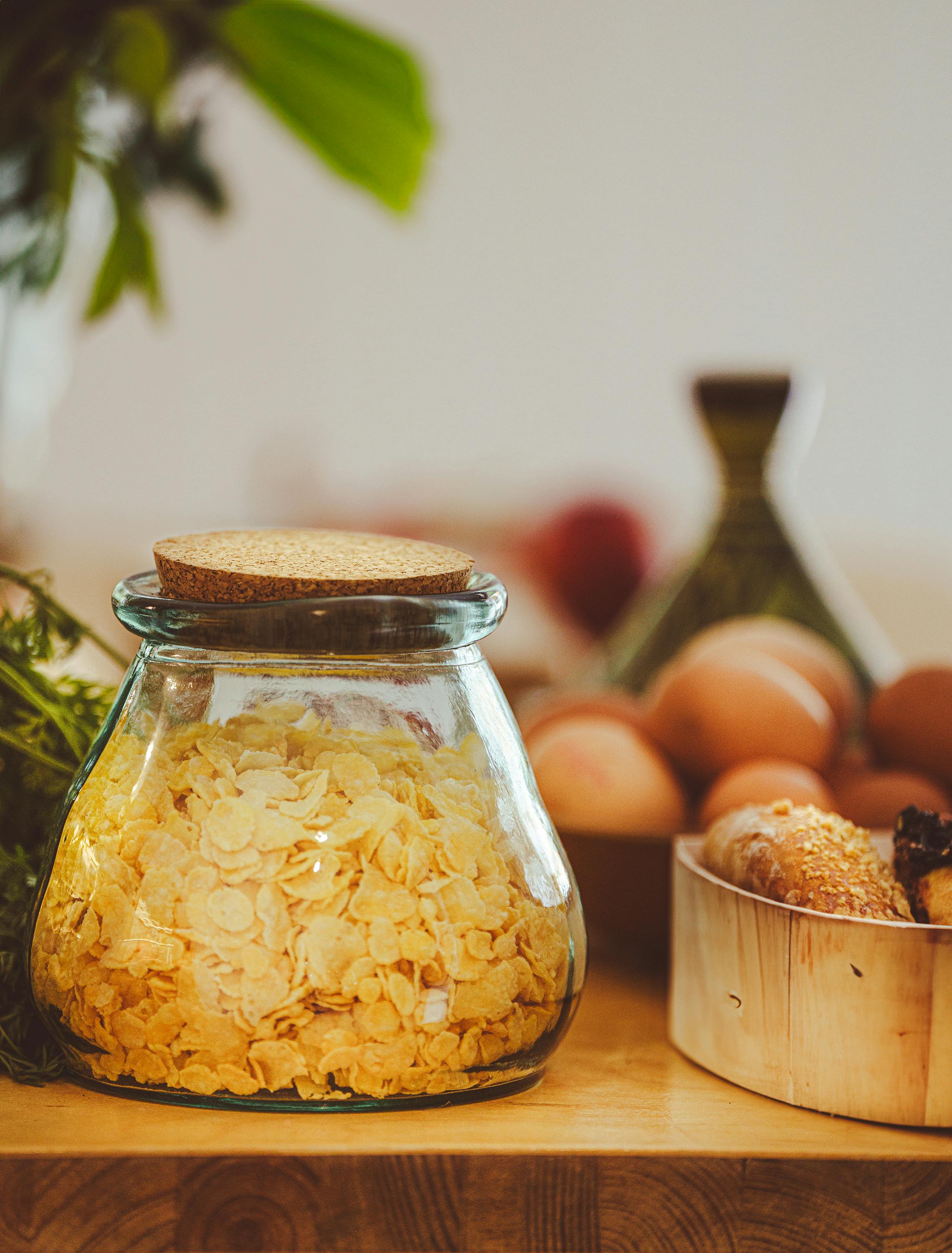 Best 10 Solutions for Optimizing Kangaroo Diet in 2025