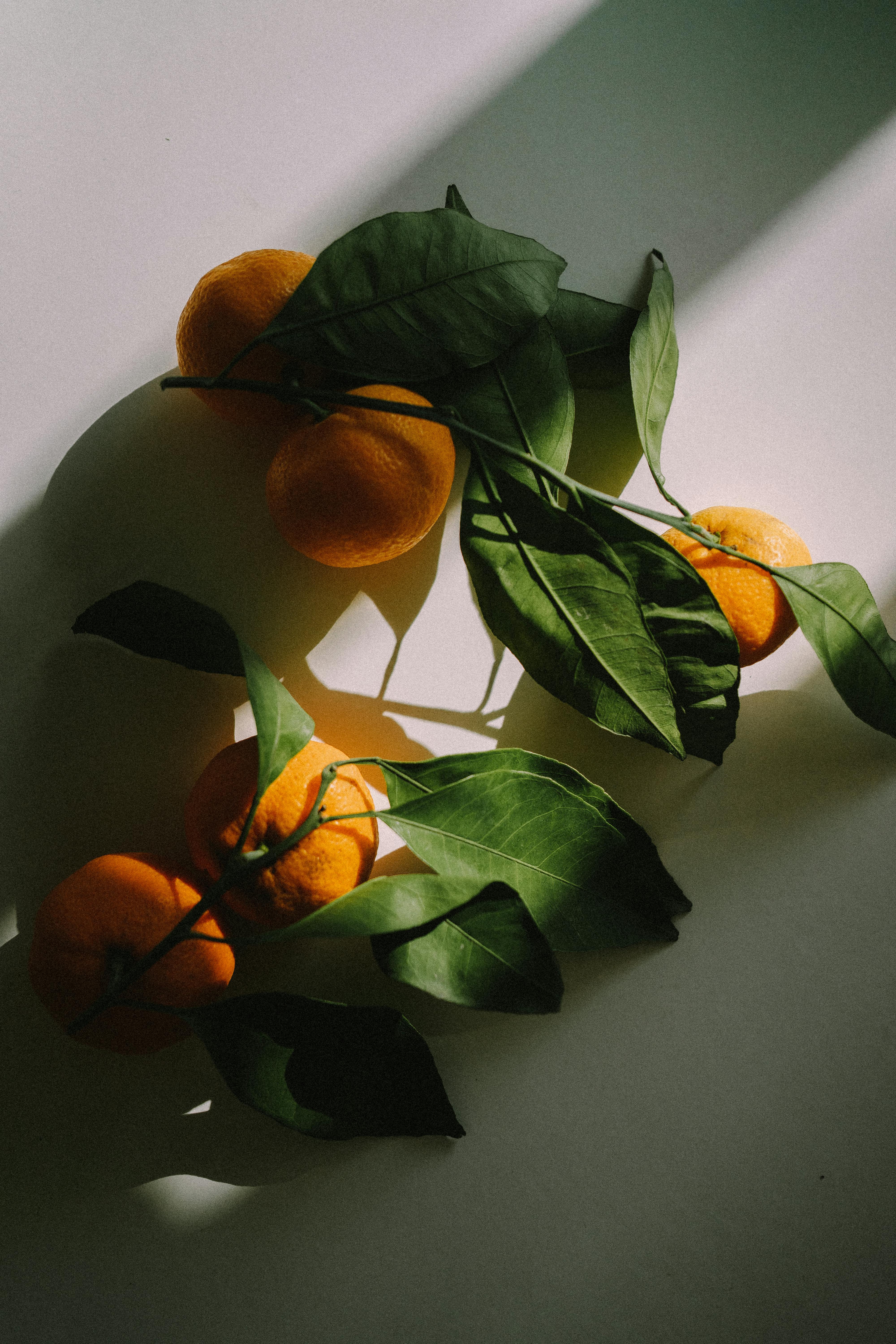 Best 5 Bland Diet Options for a Soothing 2025 Meal Plan