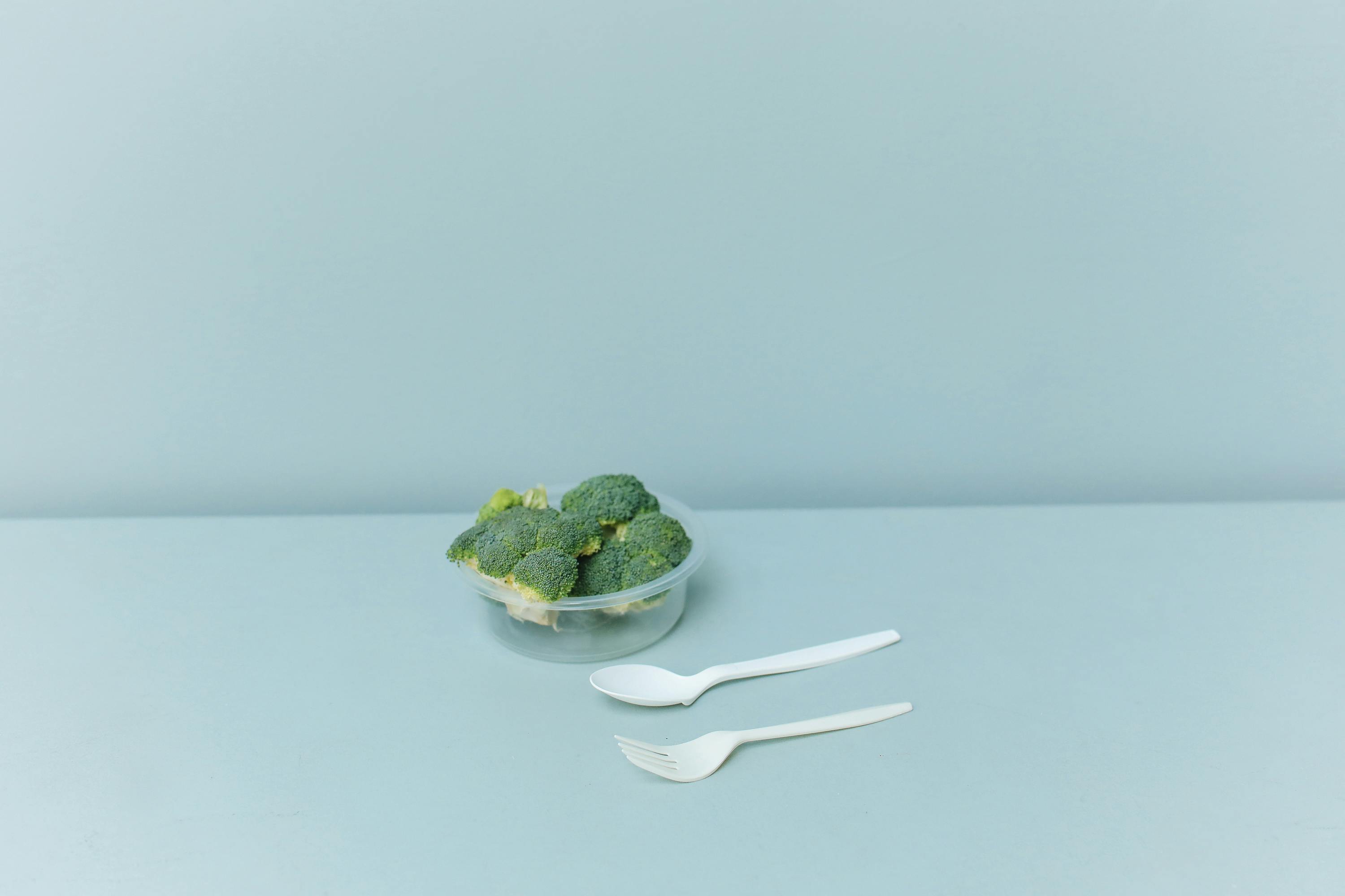 Dana White Diet Overview