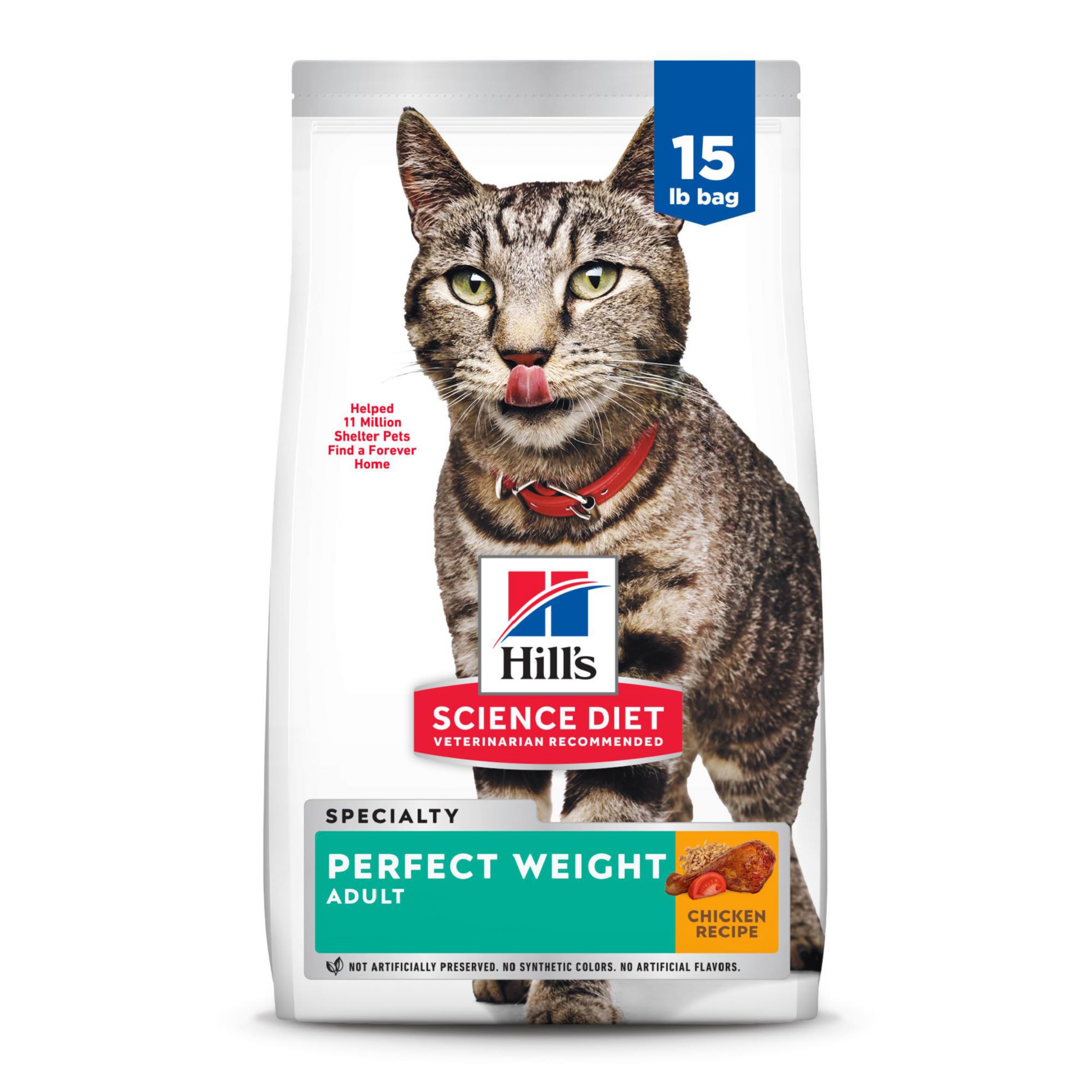 Practical Guide to Science Diet Cat Food: Improve Your Cat’s Health in 2025