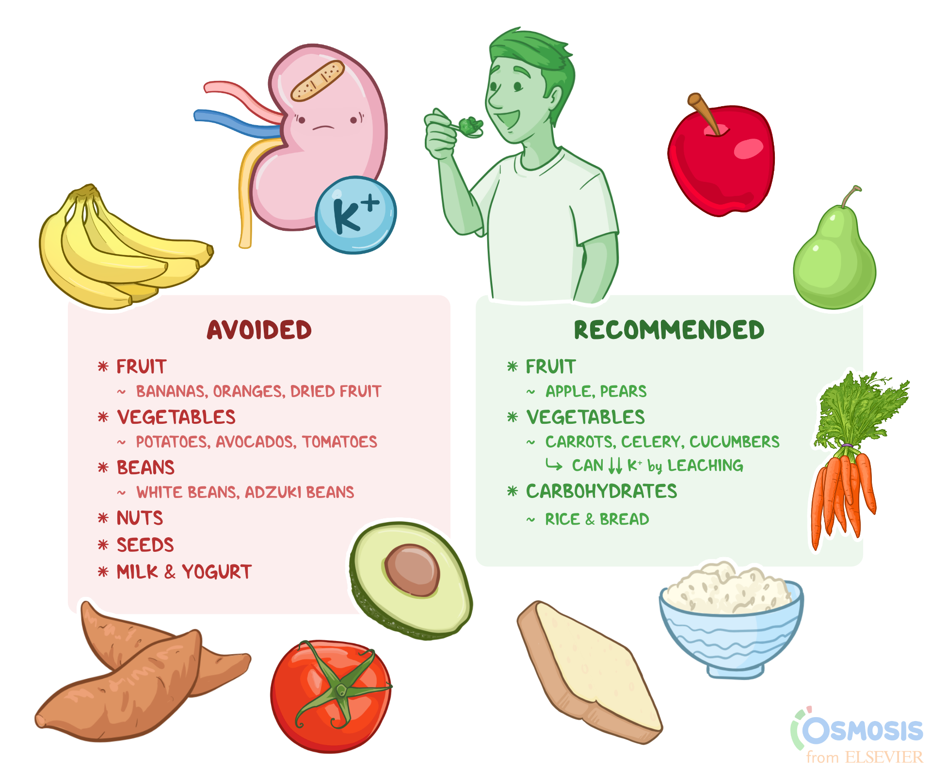 Effective Ways to Manage Your Low Potassium Diet in 2025: Learn More for Better Health