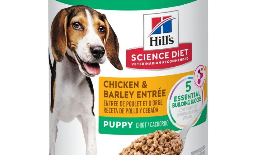 Effective Guide to Hill’s Science Diet Dog Food for Healthy Pets in 2025