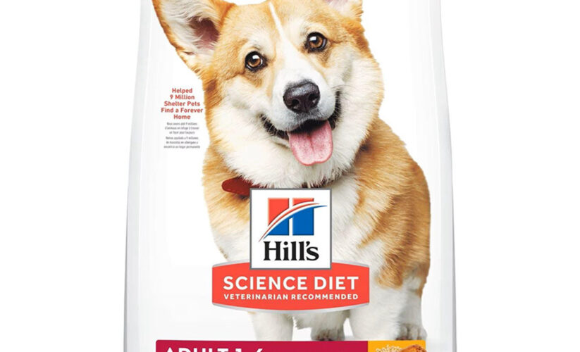 Effective Ways to Choose Hills Science Diet Dog Food for Optimal Nutrition in 2025