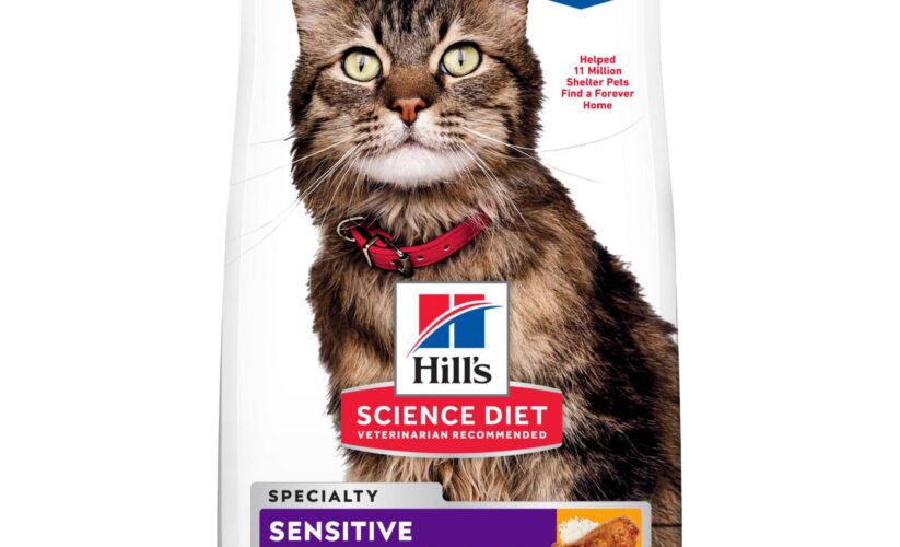 Top 5 Ways to Choose Hills Science Diet Cat Food for Better Health in 2025