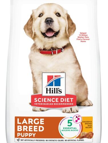 Top 5 Essential Benefits of Hill’s Science Diet Puppy for Healthy Growth in 2025