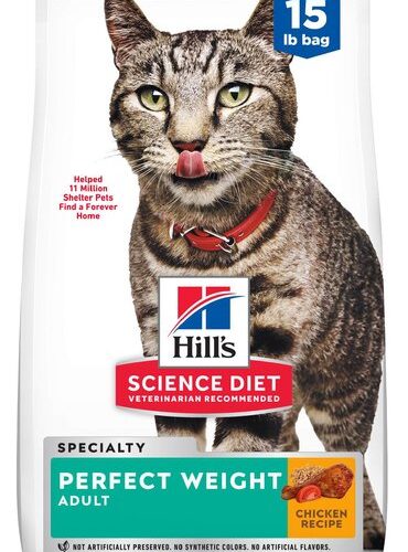 Best 5 Solutions for Achieving Your Pet’s Perfect Weight with Hill’s Science Diet in 2025