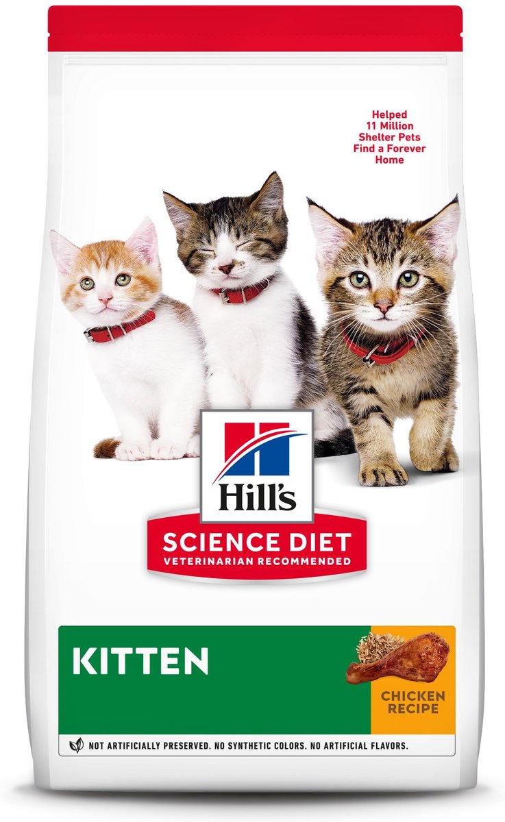 Best 5 Science Diet Kitten Food Options for Optimal Growth in 2025